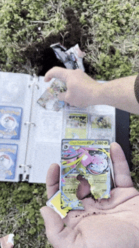 Pokemon Cards GIF