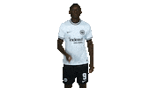 Sge Sticker by Eintracht Frankfurt