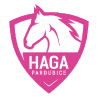 HAGAPardubice florbal haga florbalpardubice hagaspojuje Sticker