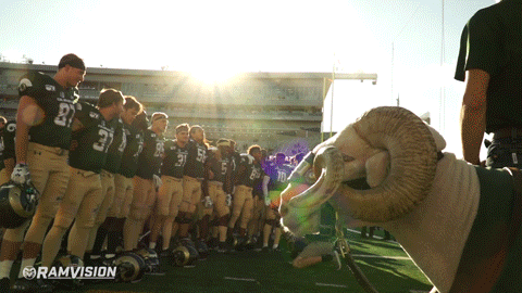 csurams giphyupload csurams proudtobe GIF