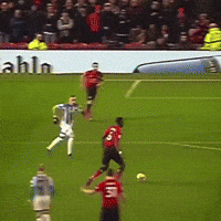 Paul Pogba GIF