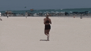 florida GIF