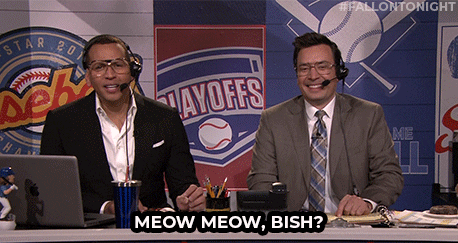 Jimmy Fallon Cat GIF by The Tonight Show Starring Jimmy Fallon