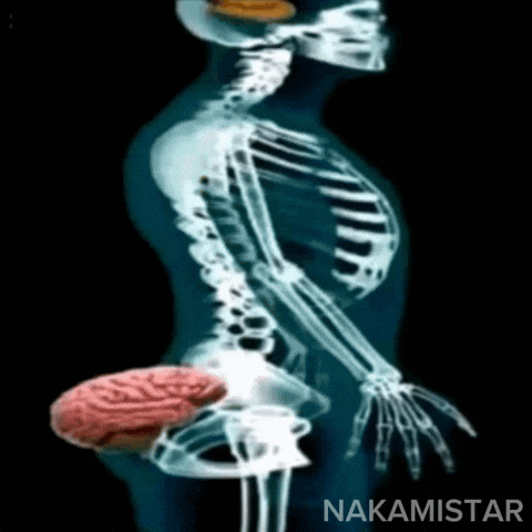 Brain Fool GIF