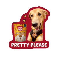Happy Dog Sticker by Awesome Pawsome Treats
