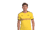 Happy Borussia Dortmund Sticker by Bundesliga