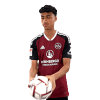 Ball Nurnberg Sticker by 1. FC Nürnberg