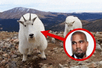 Kanye West Goat GIF