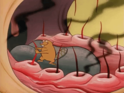 ren and stimpy nicksplat GIF
