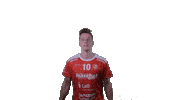 Handball Vtb Sticker by SG VTB/Altjührden
