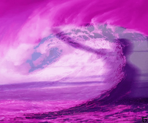 Full Sail Pink GIF by Nova Sound