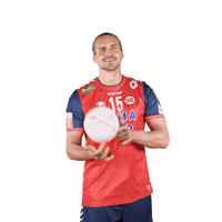 Handball Nhf Sticker by Norges Håndballforbund