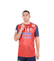 Handball Matic Sticker by Norges Håndballforbund