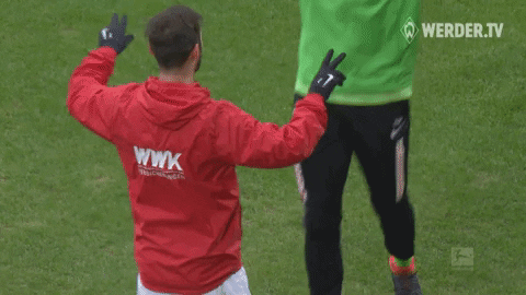 werder bremen bundesliga GIF