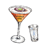 Night Out Drinks Sticker by Coconut Lane