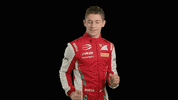 Car Driver Dance GIF by Prema Team