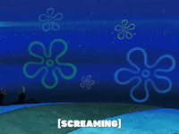 season 4 GIF by SpongeBob SquarePants