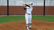 vwu_marlins marlins vwu wethebeach virginiawesleyan GIF