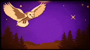 Flying Taylor Hanson GIF by HANSON