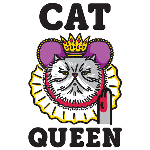 Cat Queen GIF by LookHUMAN