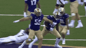 Bow Down College Football GIF by Washington Athletics