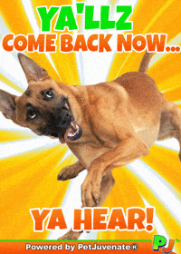 PetJuvenate petjuvenate henlo hooman fren love rescue dogs treatos and woofer for pupper GIF