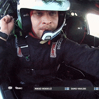 Finish GIF by FIA European Rally Championship