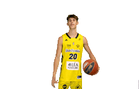 Basketball Basket Sticker by Stade Rochelais
