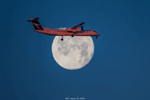 Moon Flying GIF