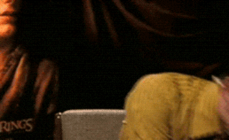 Lord Of The Rings Enjoy GIF