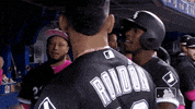 major league baseball sport GIF by MLB