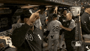 major league baseball sport GIF by MLB