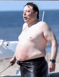 Elon Musk GIF by Achiloid