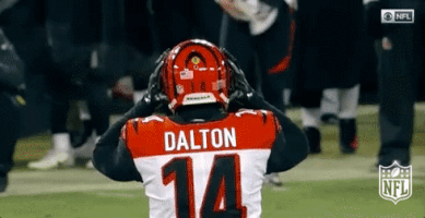 Cincinnati Bengals Football GIF by NFL