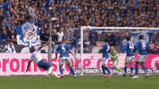 Loris Karius GIF by FC Schalke 04