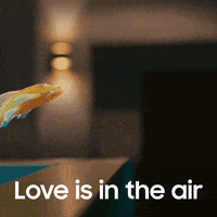 Fun Love GIF by samsung_de