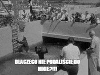 GIF by TVP.PL
