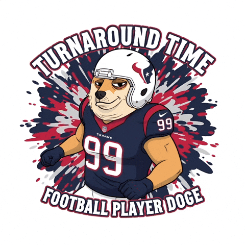 Shiba Inu Football GIF by Doge Pound