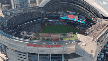 Blue Jays Baseball GIF by Toronto Blue Jays