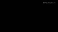Animated Dynamic Shapes and Lines
