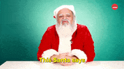 Santa Claus Christmas GIF by BuzzFeed