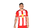 Motivating Come On Sticker by FC Red Bull Salzburg