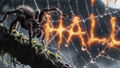 Trick Or Treat Happy Halloween GIF by Kyyba Films