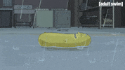 Season 3 GIF by Rick and Morty