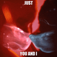 runaway GIF by Galantis