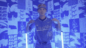 Creighton Bluejays Baseball GIF by Creighton University Athletics