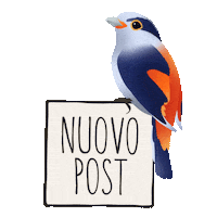 iolandaparmeggiani happy smile new post post Sticker