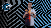 Sport GIF by BS+COMPETITION