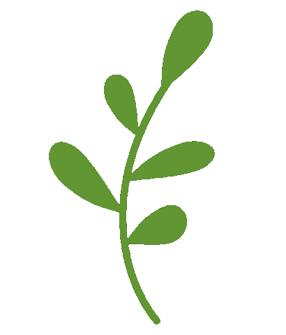 Plant Leaf Sticker by Kew Gardens