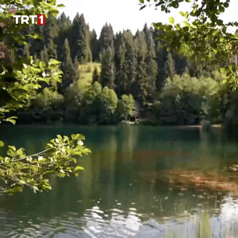 Fresh Air Water GIF by TRT